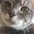 Jackie Staboli Hrenak's profile image