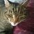 Amy Davis Parris's profile image
