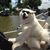 Mary Ann Jaworski's profile image