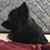 Richard Allen's profile image