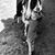 Beth Brister-Kaster's profile image