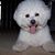 Michael F. Shulo's profile image