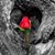 Sherri Lindsey Strange's profile image