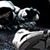 Bryan Carmona's profile image