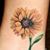 Sandra J. Thomas's profile image