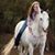 Donna Keen's profile image