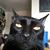 Cameron Patterson's profile image
