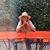 Ellen Byrd's profile image
