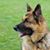 Mary Brown's profile image