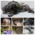 Marsha Eddy's profile image