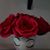 Michele Brown's profile image
