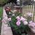 Shirley A. Hinckley's profile image
