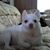 Twania DeEtte Block's profile image