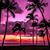 Aileen Rojas's profile image