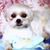 Joy Lieberman's profile image