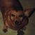 Gladys Spillman's profile image