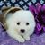 Bob Jones's profile image