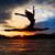 Sue Ann Morris's profile image