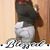 Romona Polk's profile image