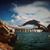 Deborah Bora K. Barton's profile image