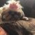 Janet Prince Schwedes's profile image