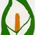 Sean Cullen's profile image