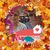 Carol Morgese Morgese's profile image