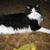 Linda Doubleu's profile image