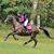 Alexandria Novotny Pasker's profile image