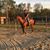 Elaine Horne's profile image