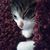Rachelle HallOchoa's profile image