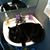 Amy Scott Foxwell's profile image