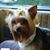 Beverly Bell's profile image