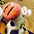 Sherry Liu's profile image