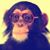 Patrick Trotter's profile image