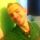 Justin K.'s profile image