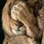 Jacqui Pitchford's profile image