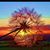 Krista Yager's profile image
