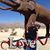 Lori Wallace's profile image