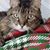 Viki Goodrum Farrow's profile image