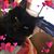 Melissa Kay Stark's profile image