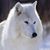 Glen Estes's profile image
