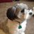 Susan Miller Thurman's profile image