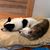Wendy McKinney's profile image