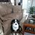 Susan Janka's profile image