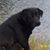 Marilyn S. Cooke's profile image