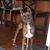 Victoria Wysocki's profile image