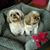 Carolyn Prince Hiles's profile image