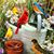 Karen Harris's profile image
