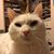 Joe Kontor's profile image